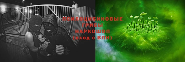 крисы Саяногорск