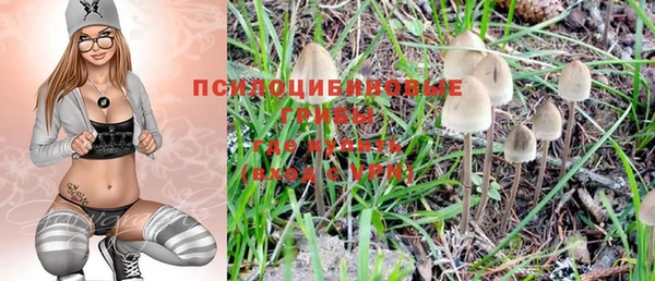 винт Горно-Алтайск