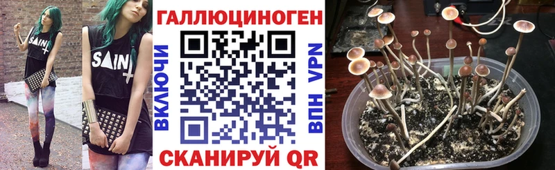 Галлюциногенные грибы мухоморы  гидра зеркало  Ивантеевка 